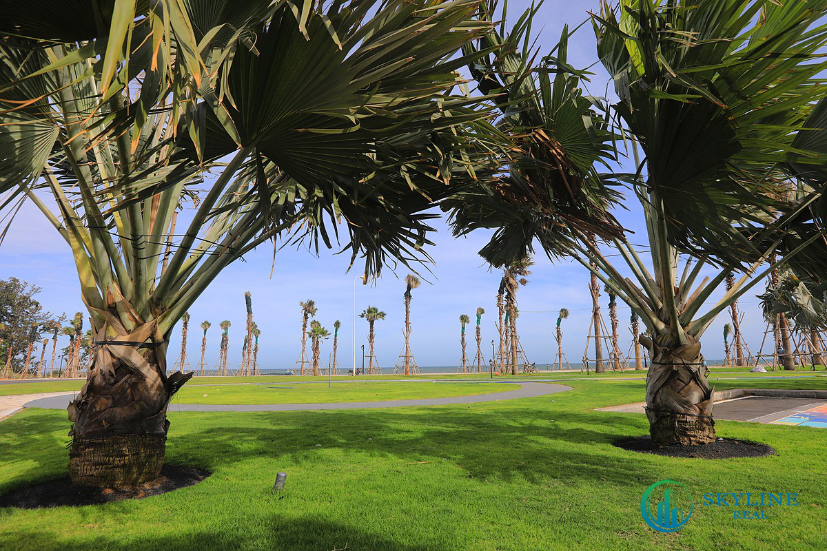 Hệ thống cây xanh phân tầng đa lớp, phù hợp với khí hậu ven biển, mang đến không gian thư giãn thoải mái.